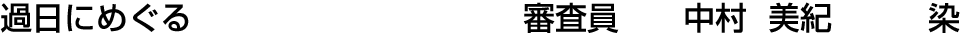 過日にめぐる 審査員  中村 美紀【染】