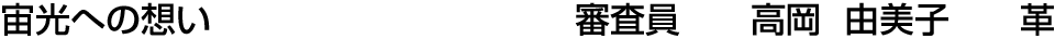 宙光への想い 審査員  高岡 由美子【革】