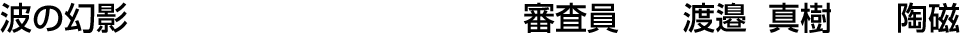 波の幻影 審査員  渡邉 真樹【陶磁】