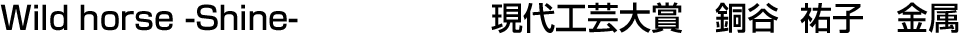 Wild horse -Shine- 現代工芸大賞  銅谷 祐子