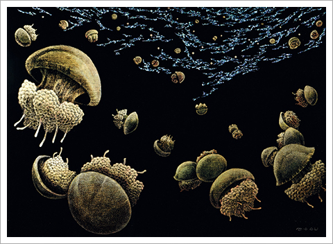 [作品写真]中島 敦子